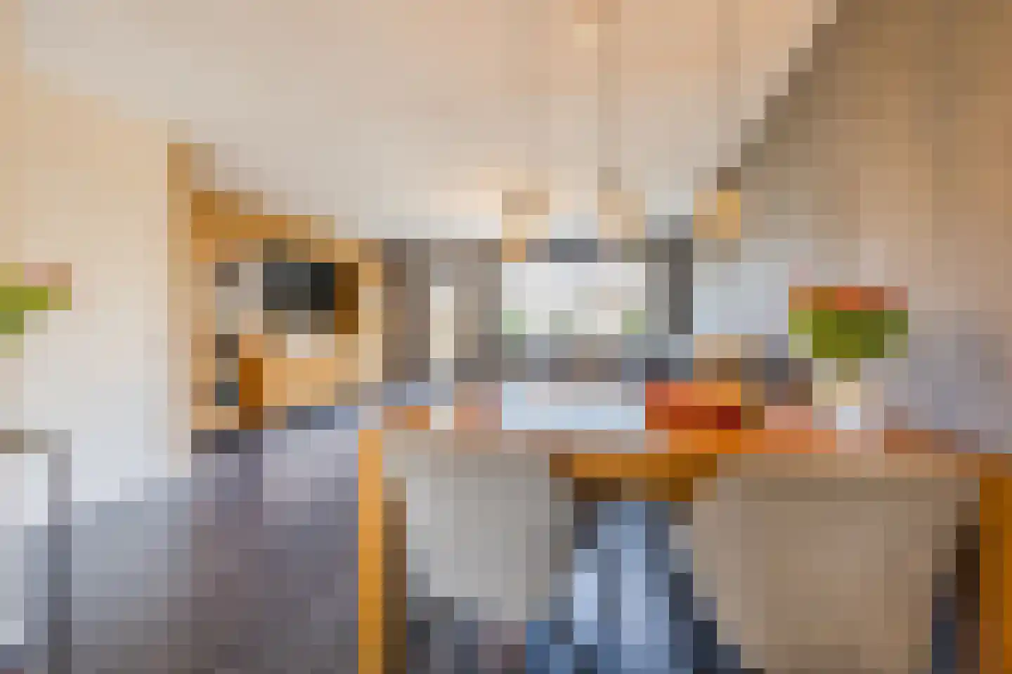 Schouman 8 Monster thumbnail 10