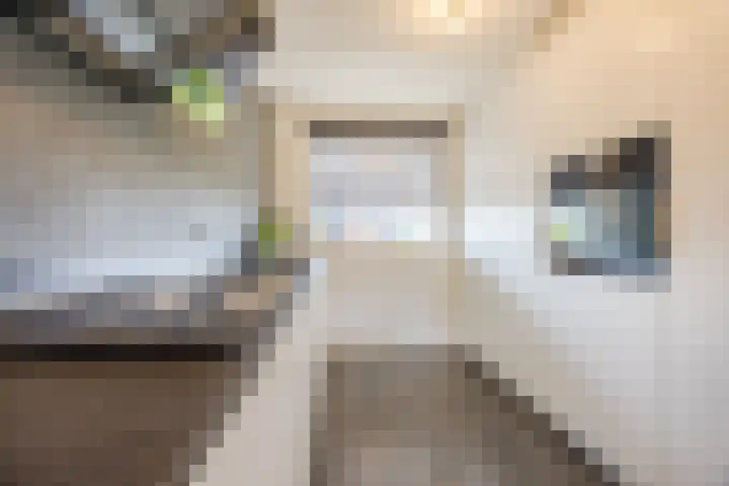 Schouman 8 Monster thumbnail 12