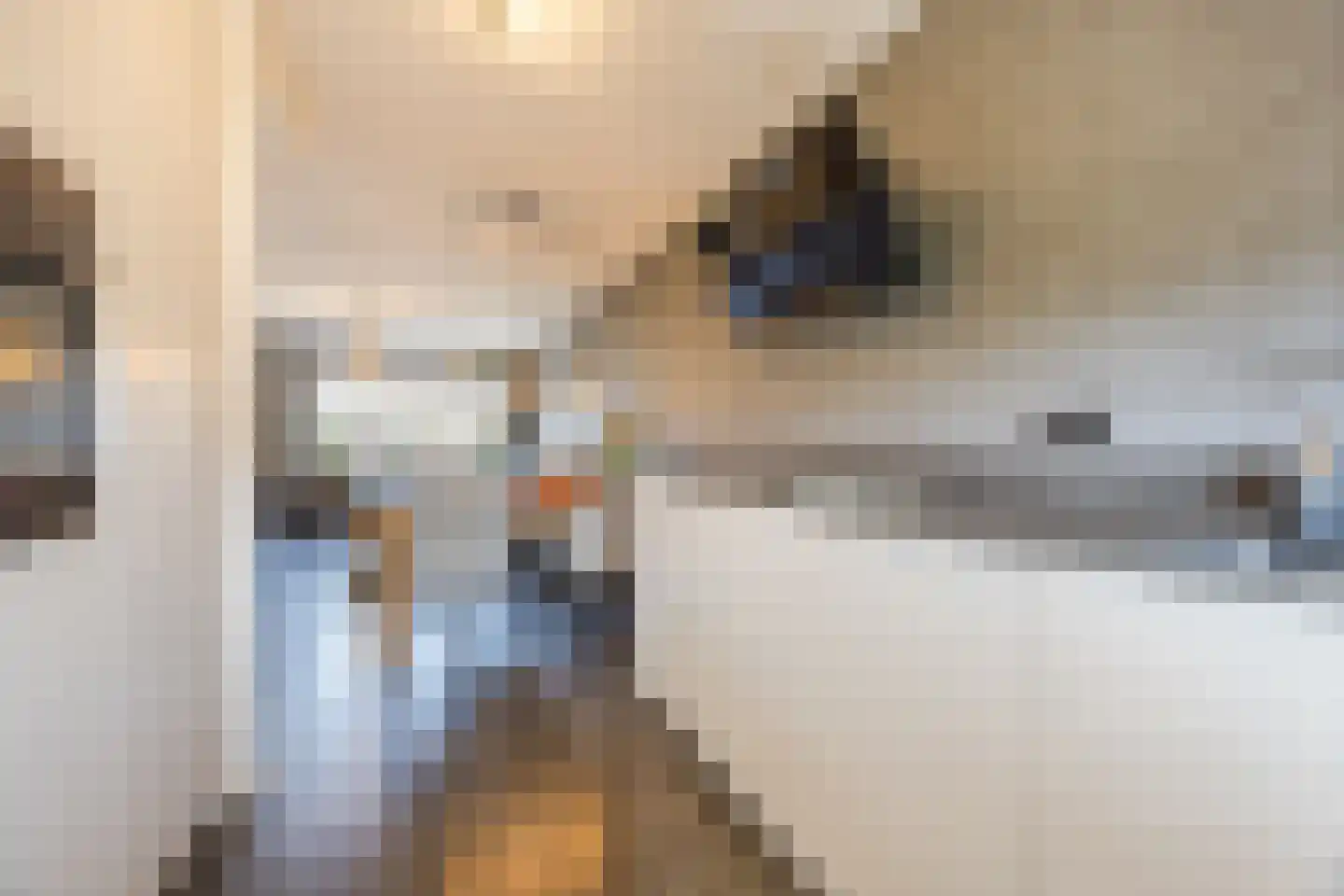 Schouman 8 Monster thumbnail 13