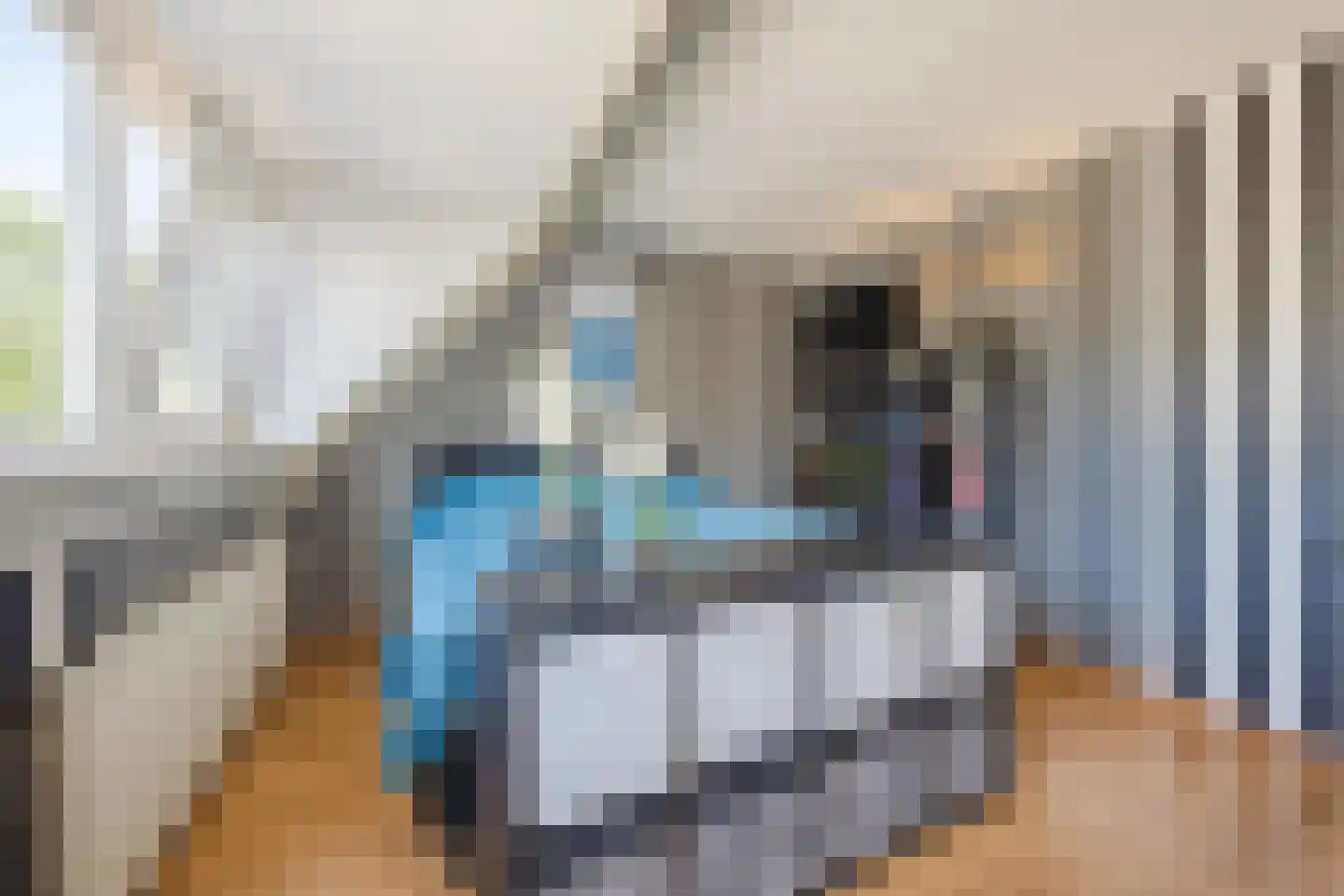 Schouman 8 Monster thumbnail 15