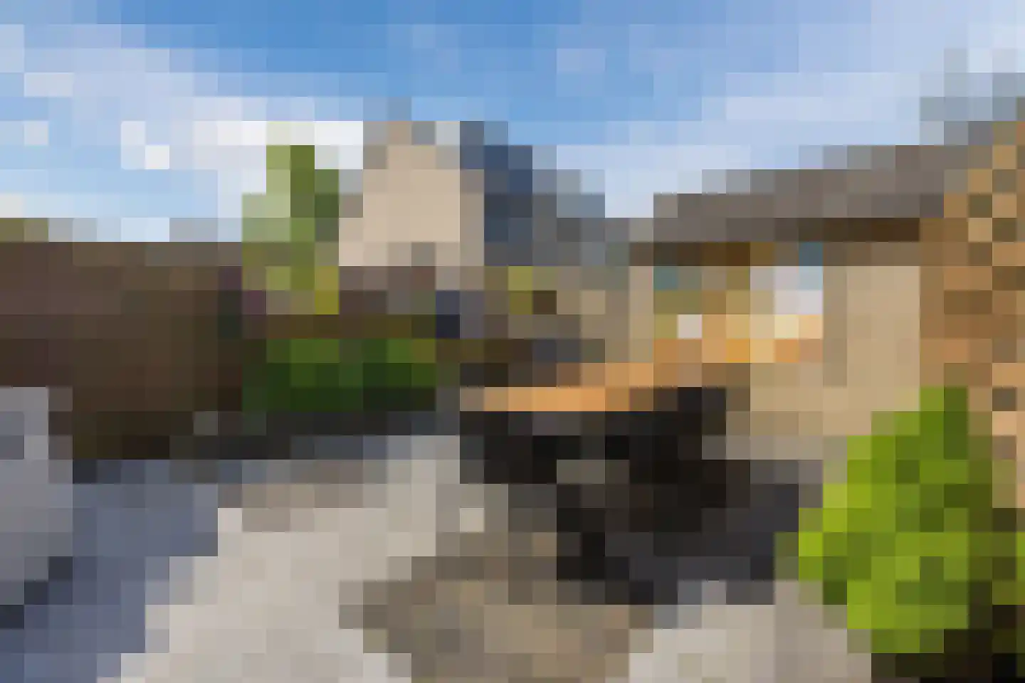 Schouman 8 Monster thumbnail 28