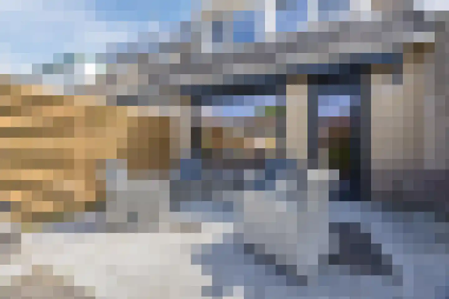 Schouman 8 Monster thumbnail 29