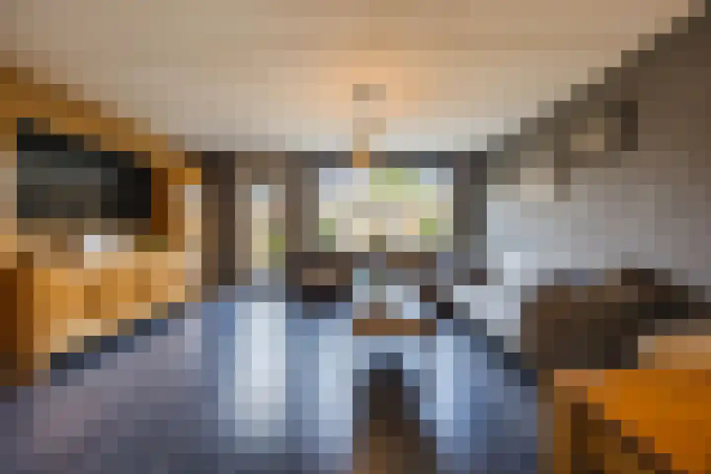 Schouman 8 Monster thumbnail 5