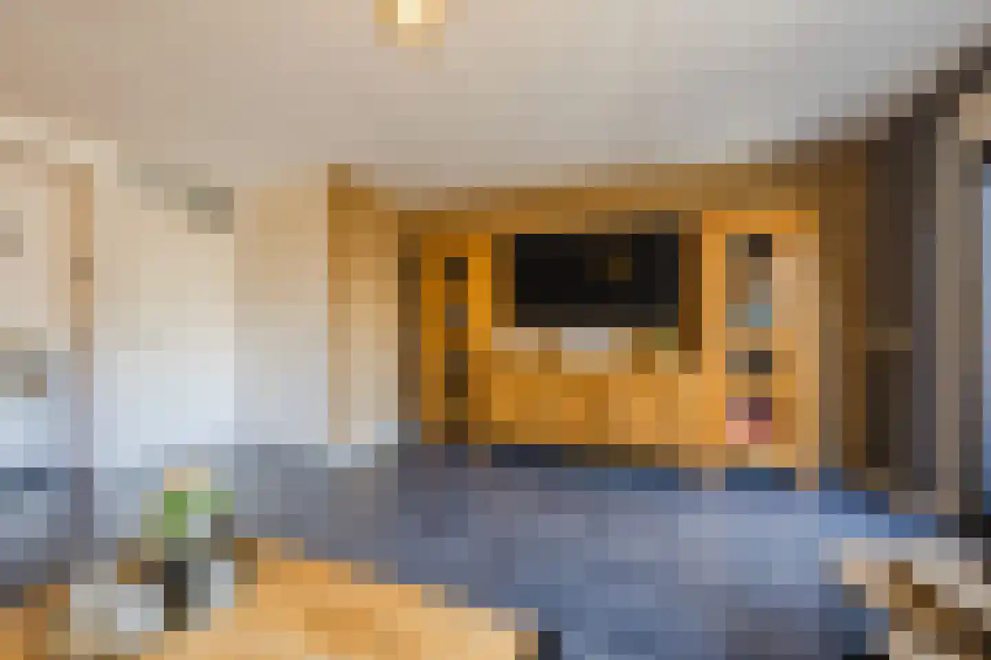 Schouman 8 Monster thumbnail 7