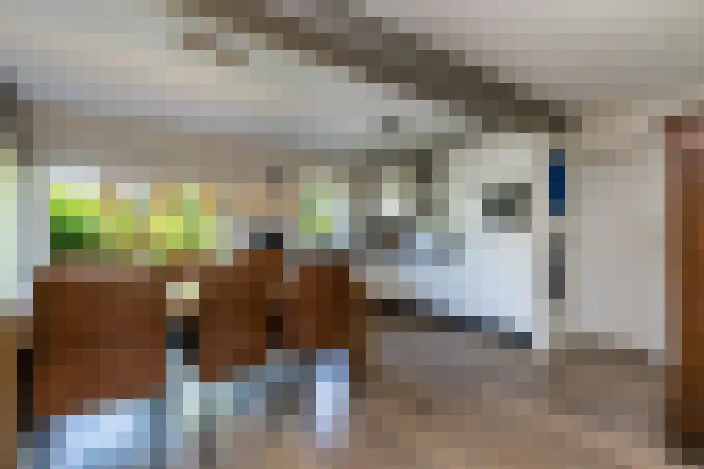 Schout 1 Woudrichem thumbnail 21
