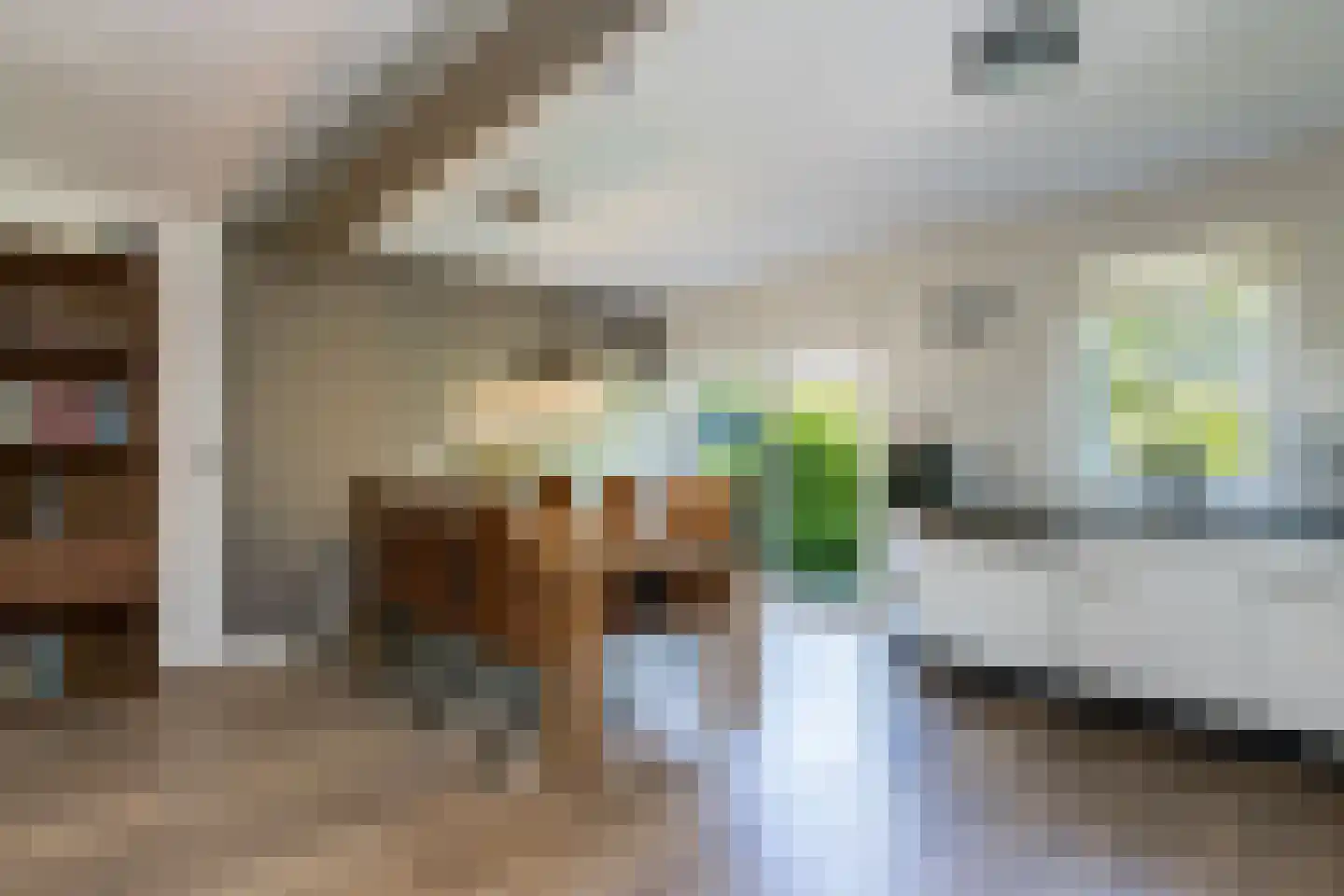 Schout 1 Woudrichem thumbnail 23