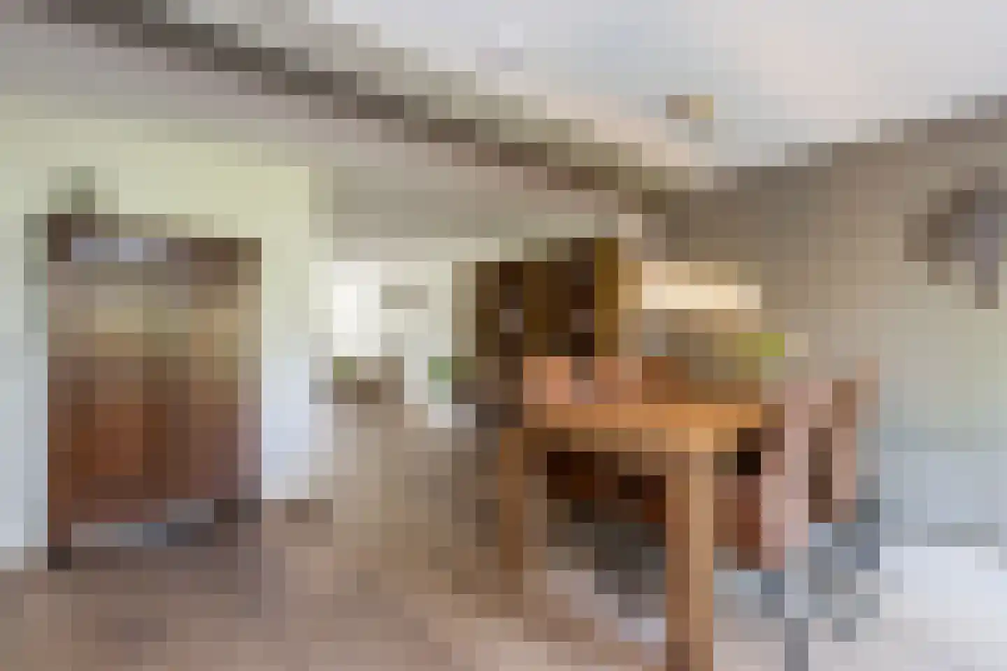 Schout 1 Woudrichem thumbnail 27