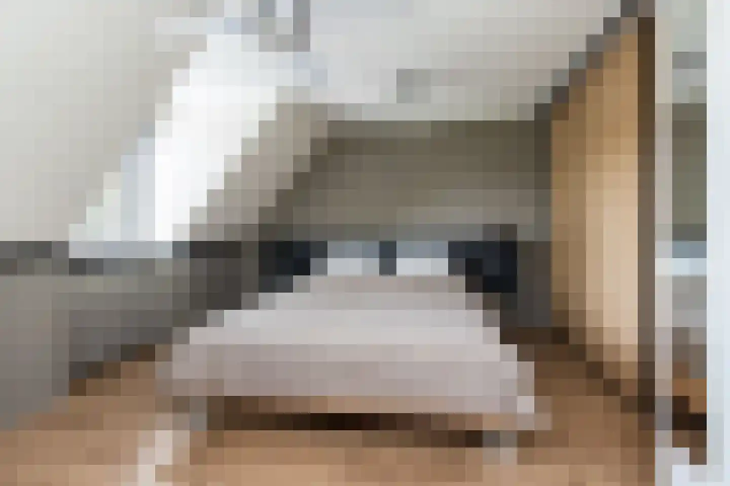 Schout 1 Woudrichem thumbnail 34