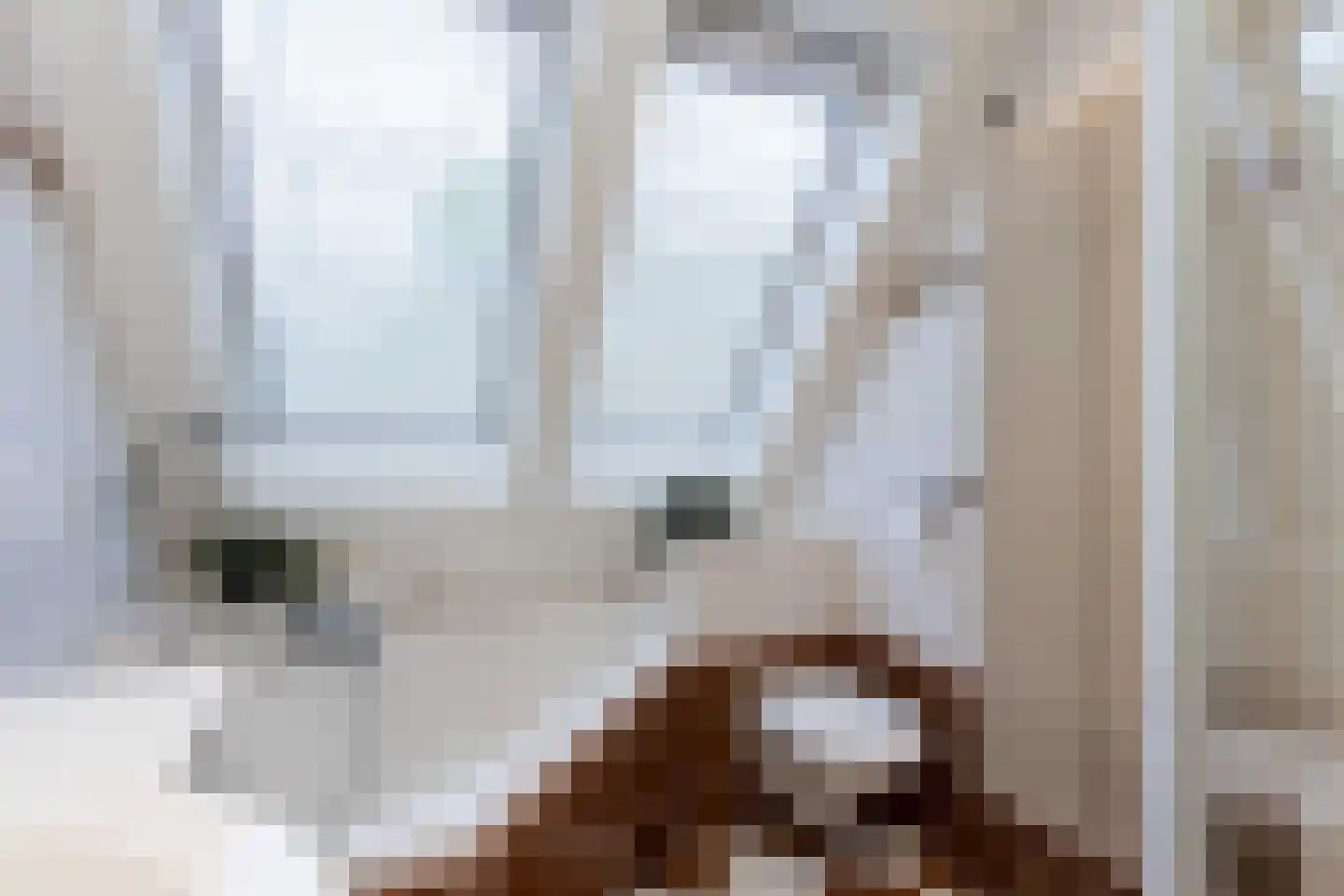 Schout 1 Woudrichem thumbnail 39
