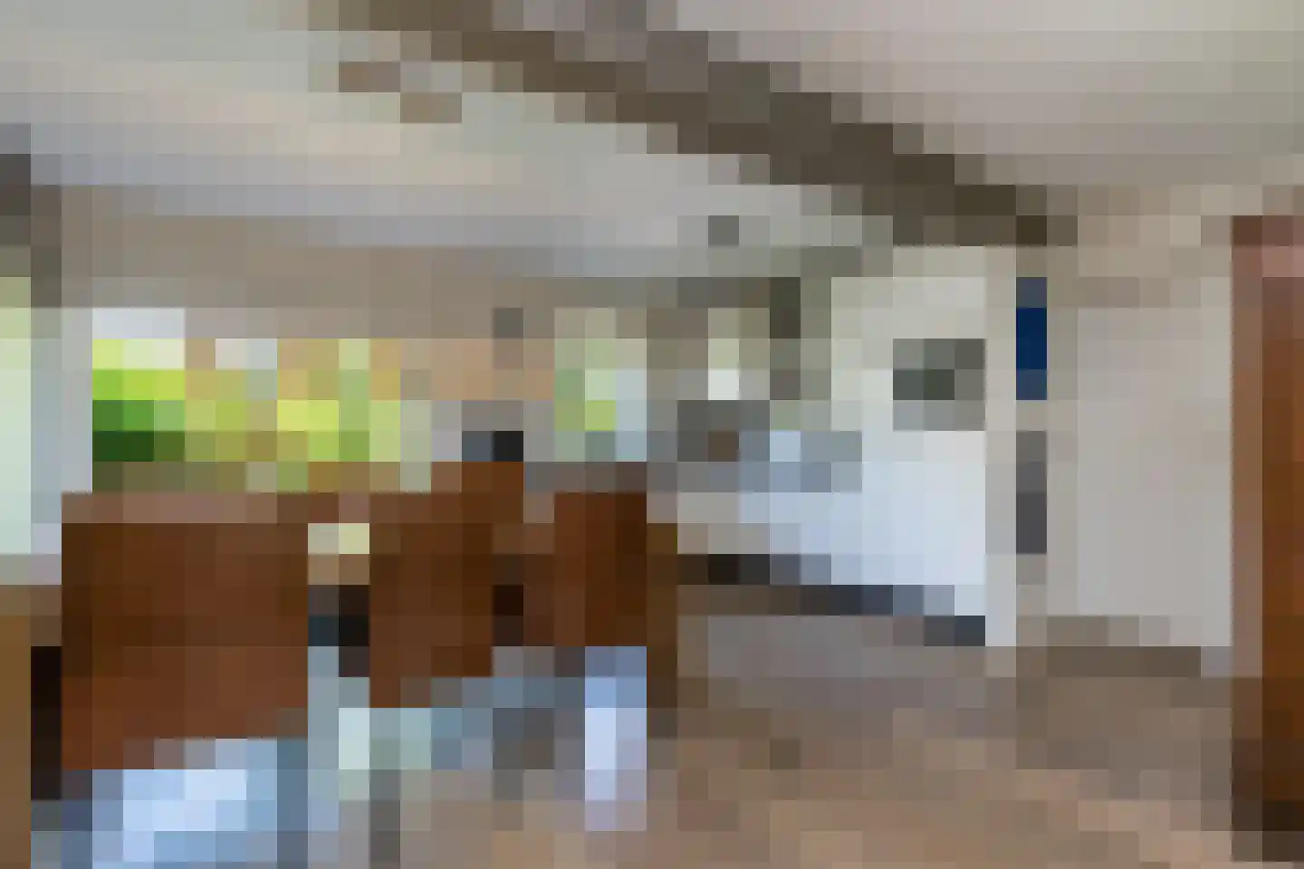 Schout 1 Woudrichem thumbnail 4