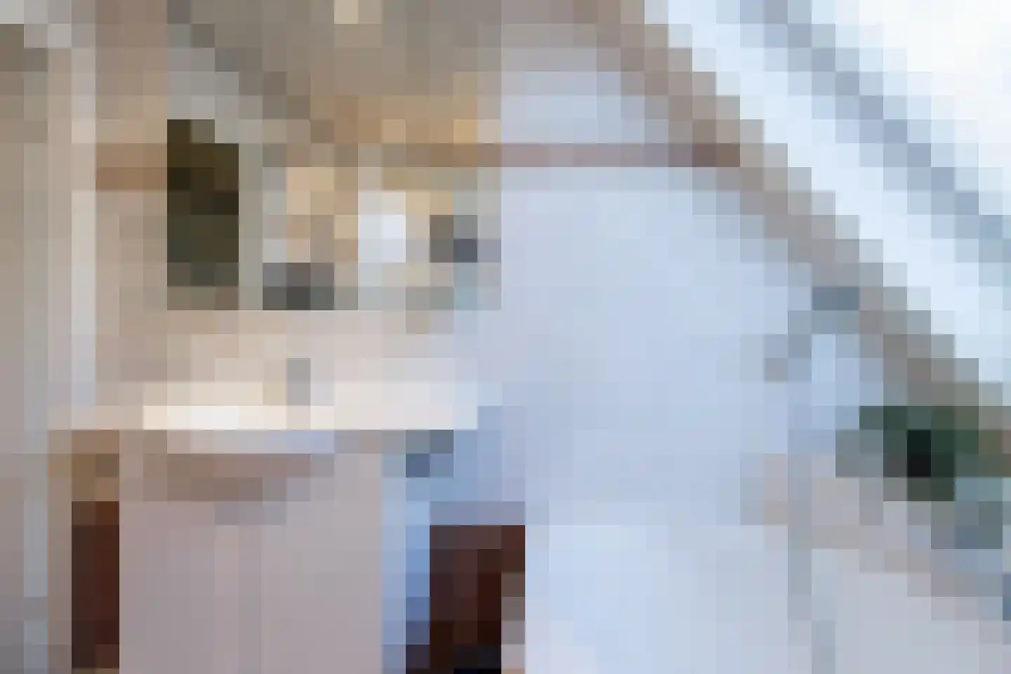Schout 1 Woudrichem thumbnail 40
