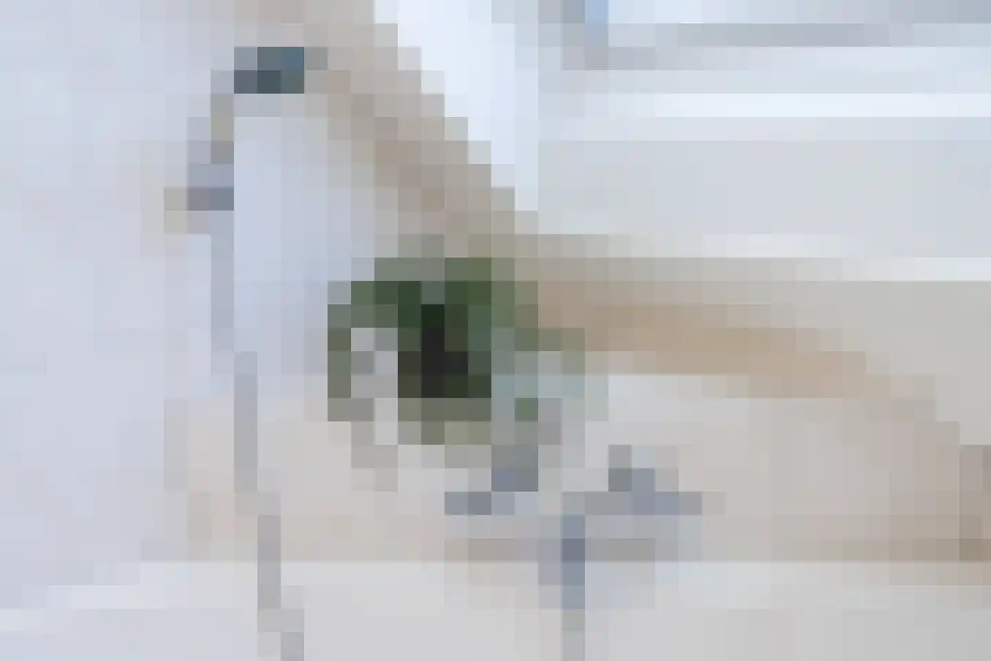 Schout 1 Woudrichem thumbnail 43