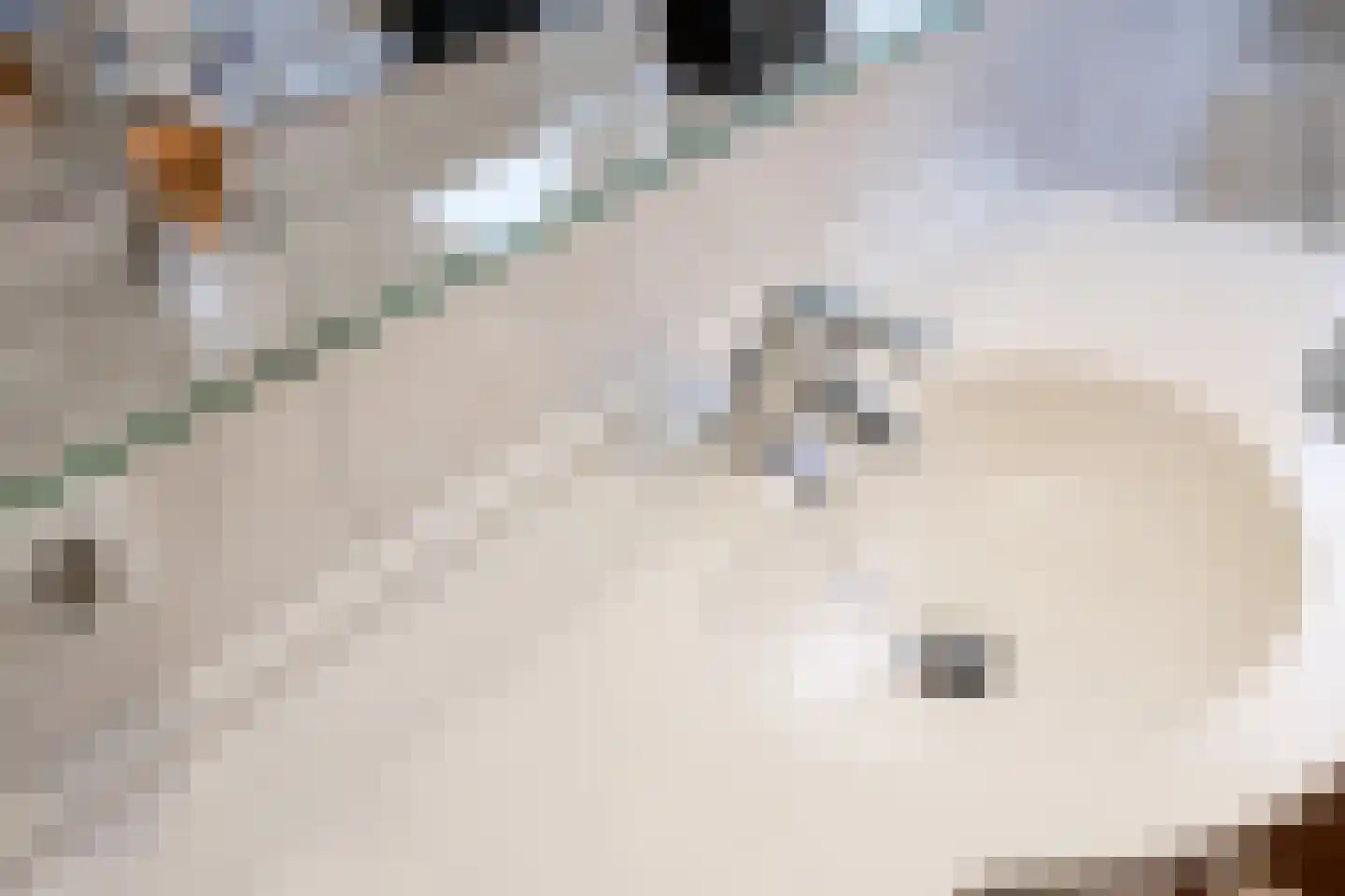 Schout 1 Woudrichem thumbnail 44