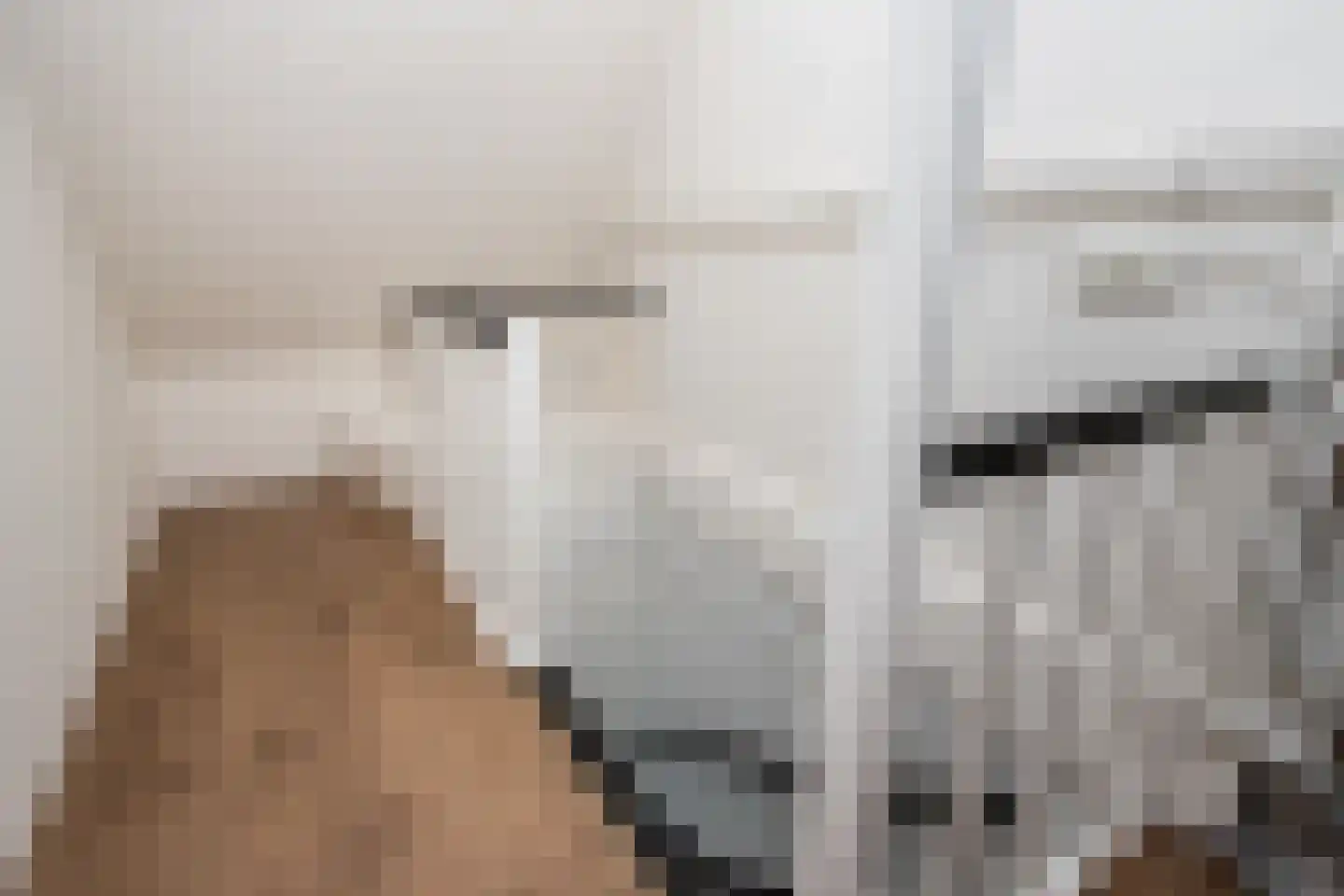 Schout 1 Woudrichem thumbnail 47