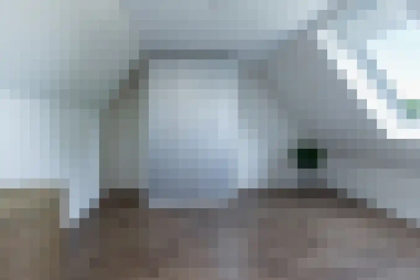 Schout 1 Woudrichem thumbnail 48