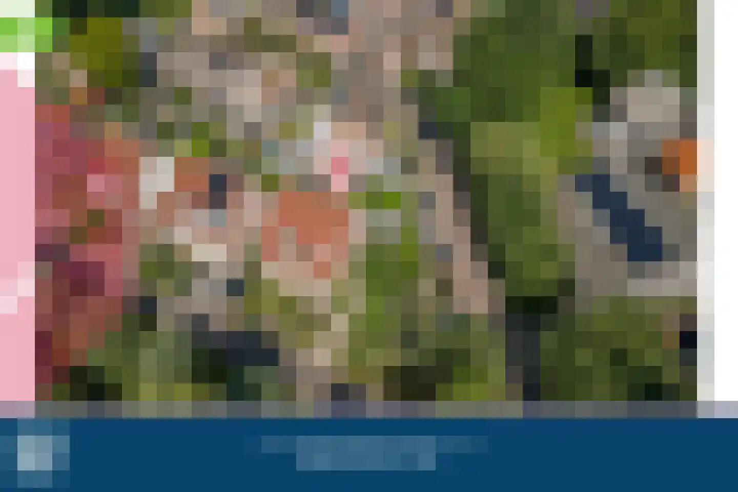 Schout 1 Woudrichem thumbnail 5