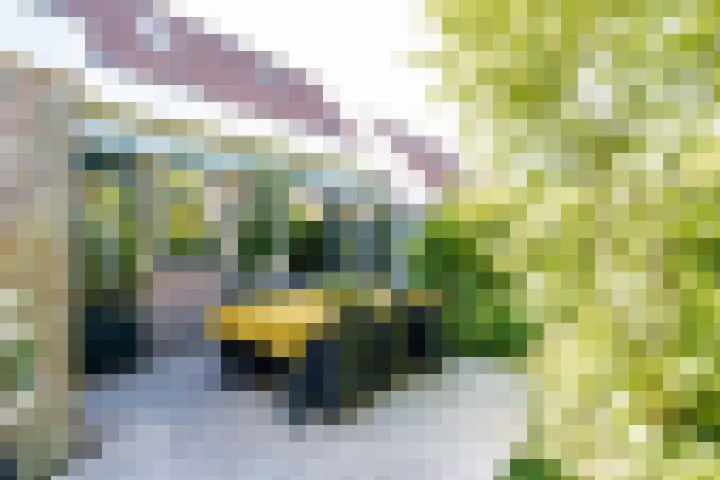 Schout 1 Woudrichem thumbnail 51