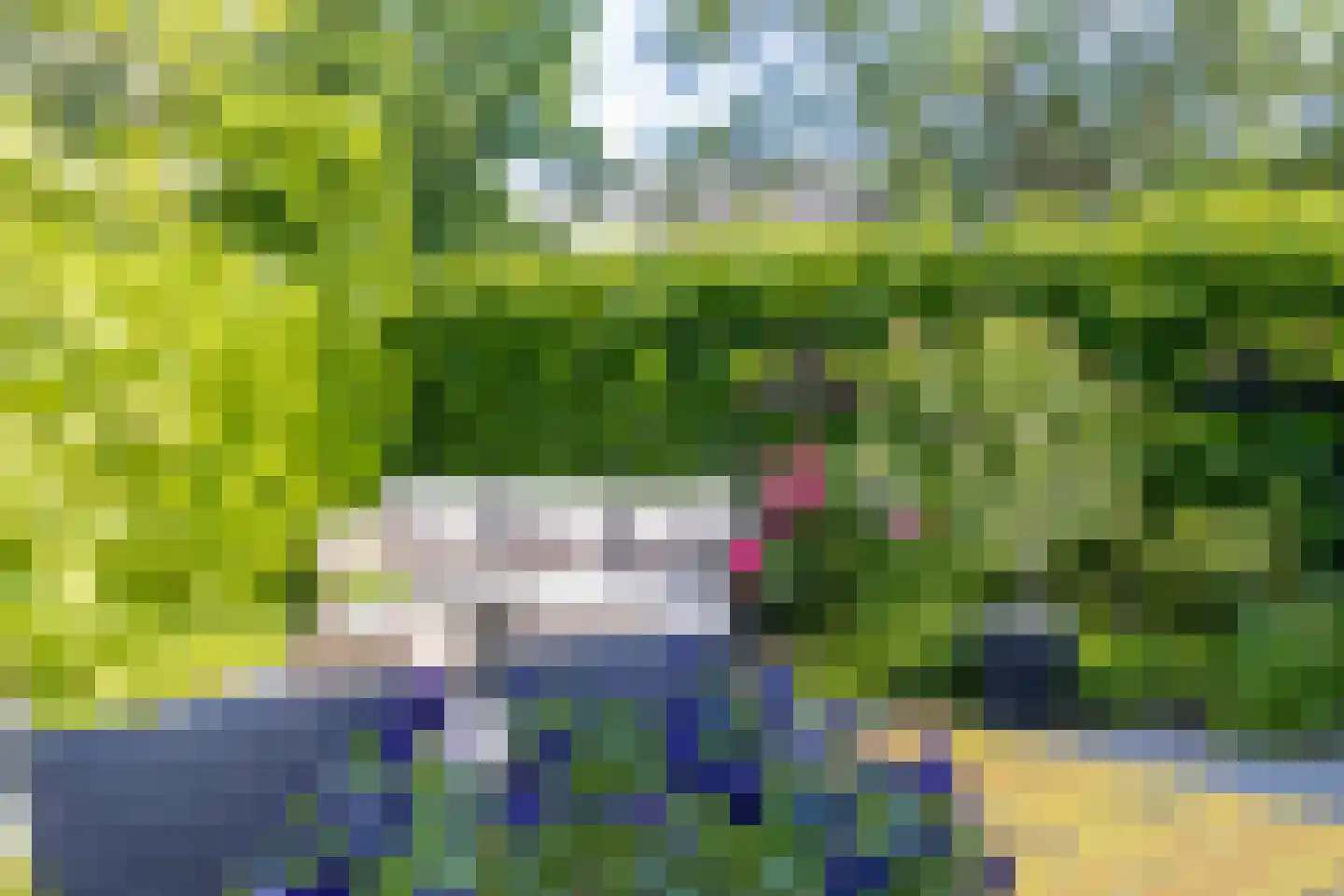 Schout 1 Woudrichem thumbnail 52