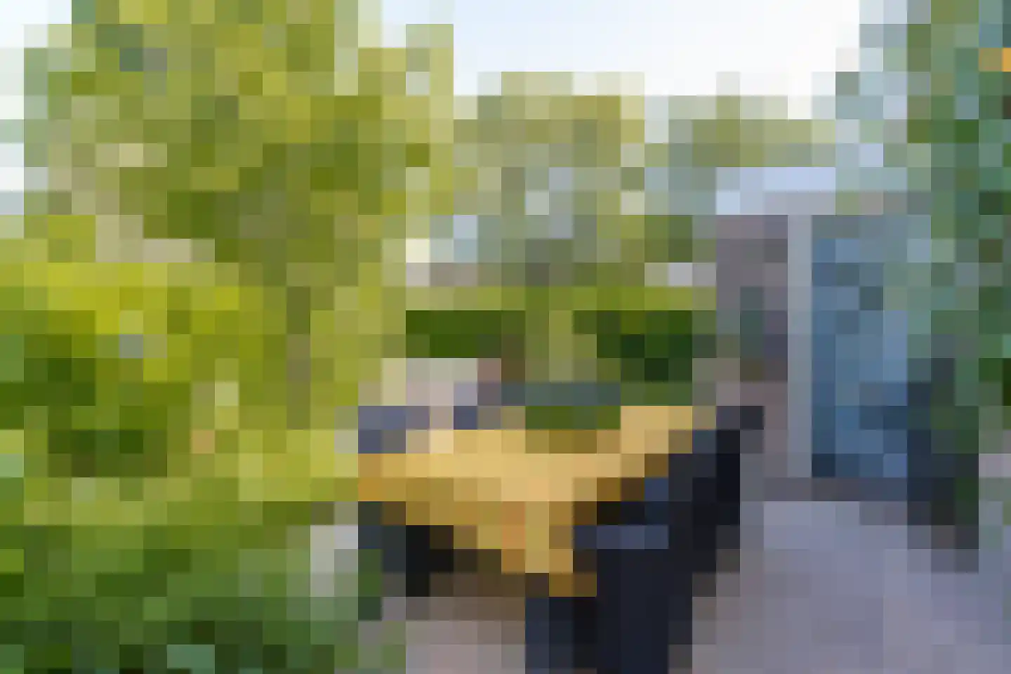 Schout 1 Woudrichem thumbnail 54