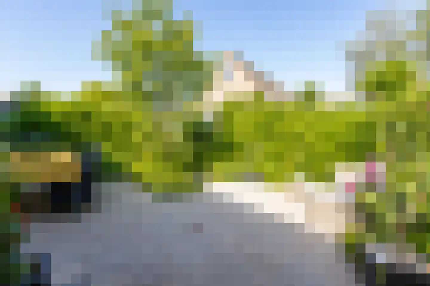 Schout 1 Woudrichem thumbnail 55