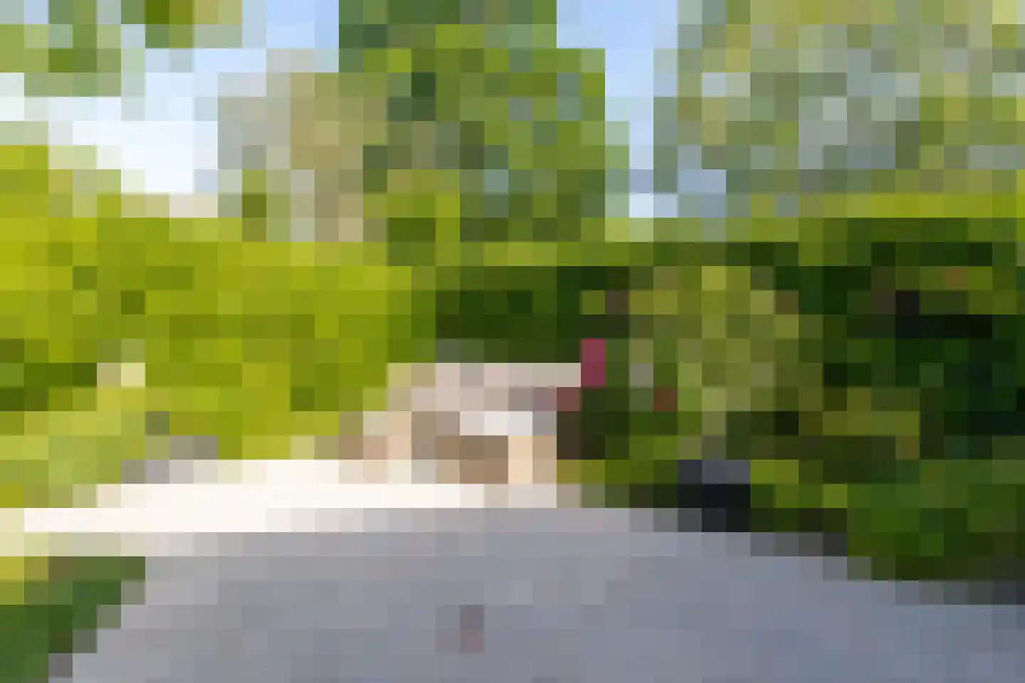 Schout 1 Woudrichem thumbnail 56