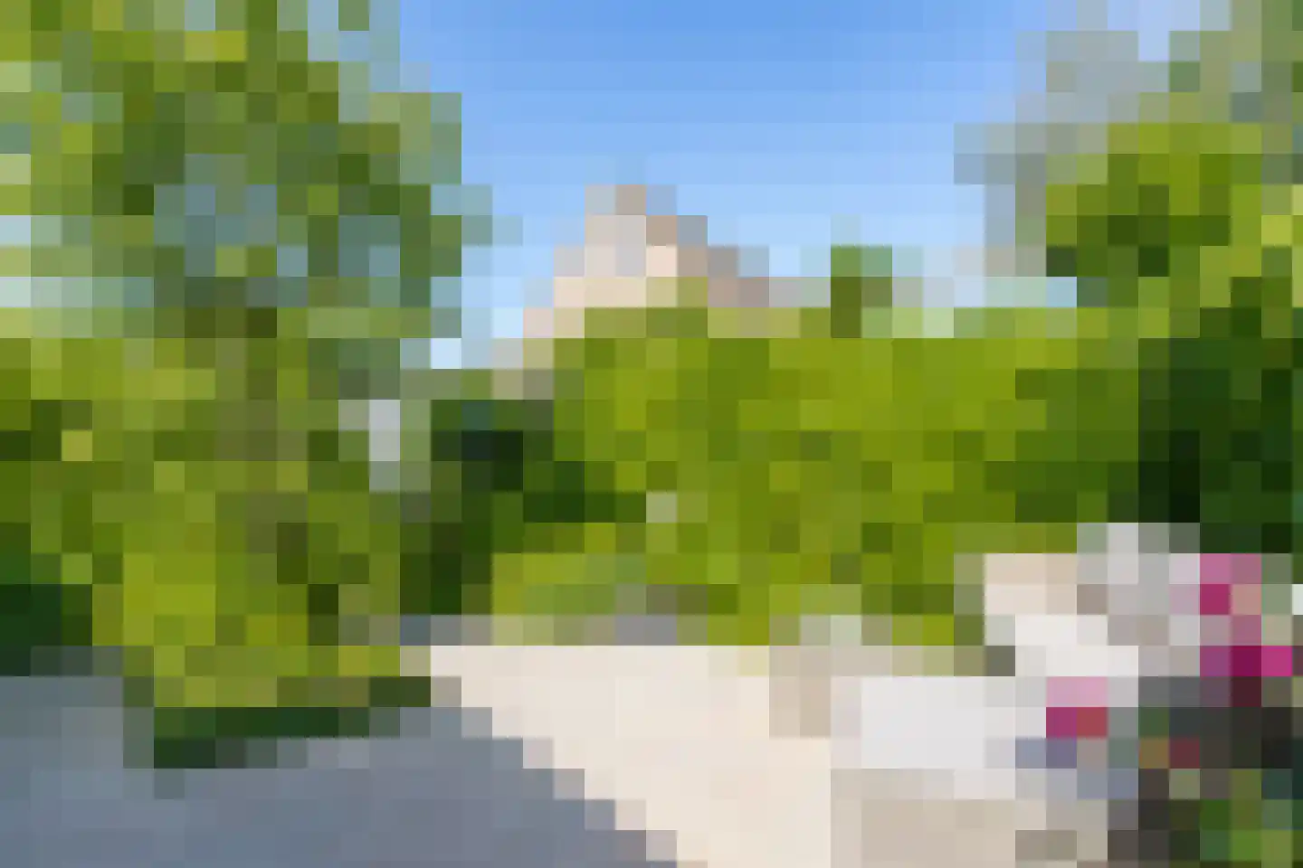 Schout 1 Woudrichem thumbnail 57