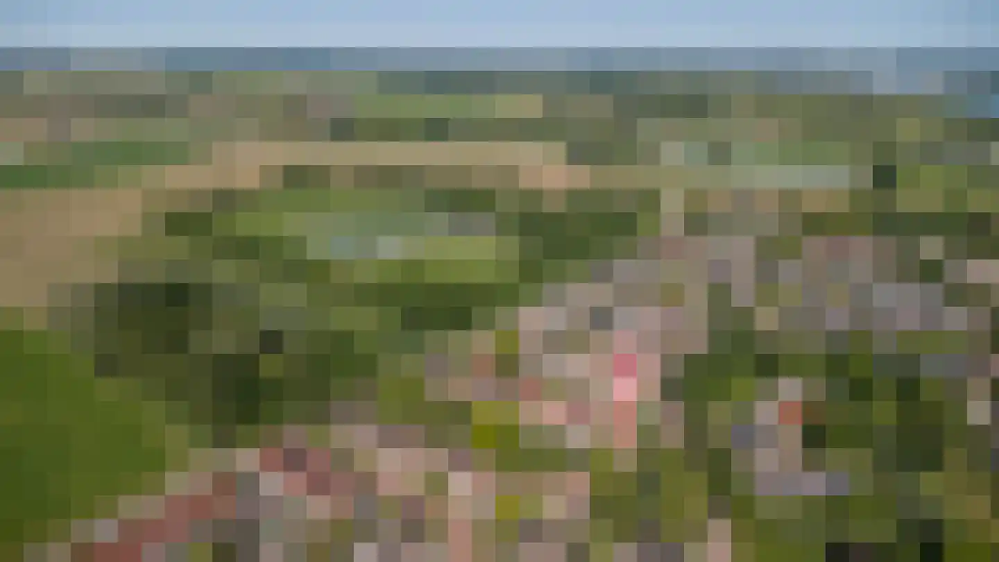 Schout 1 Woudrichem thumbnail 59