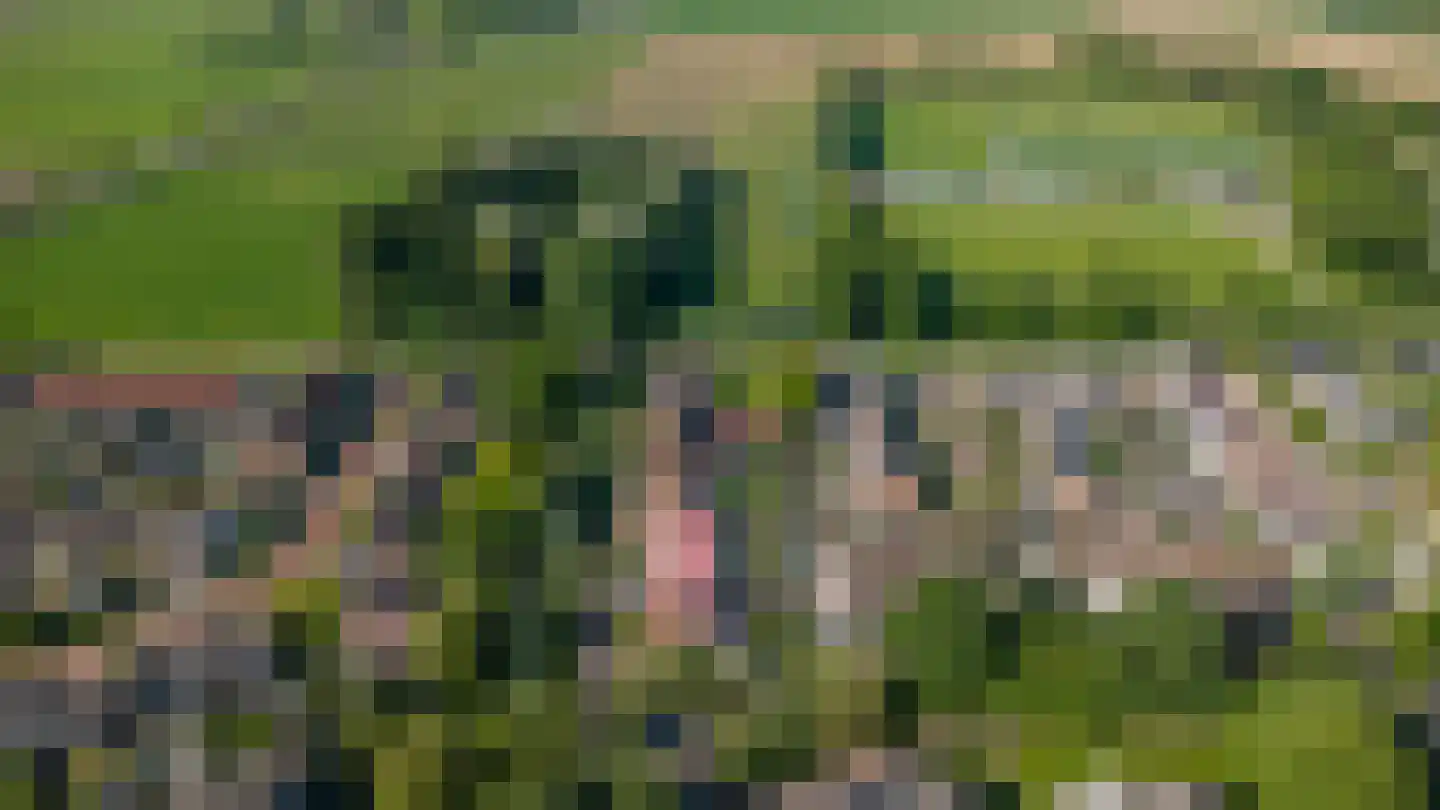 Schout 1 Woudrichem thumbnail 60