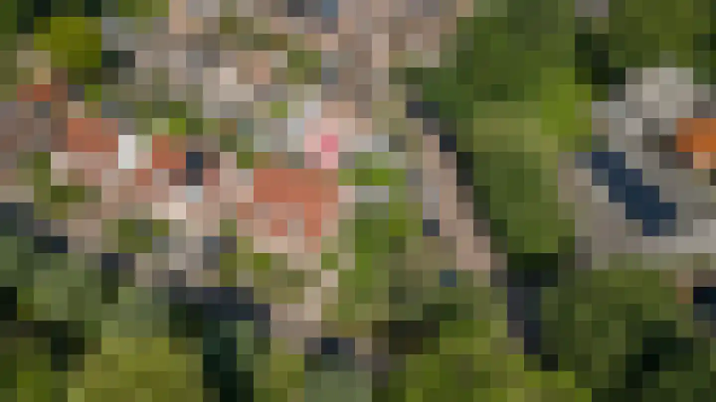 Schout 1 Woudrichem thumbnail 62