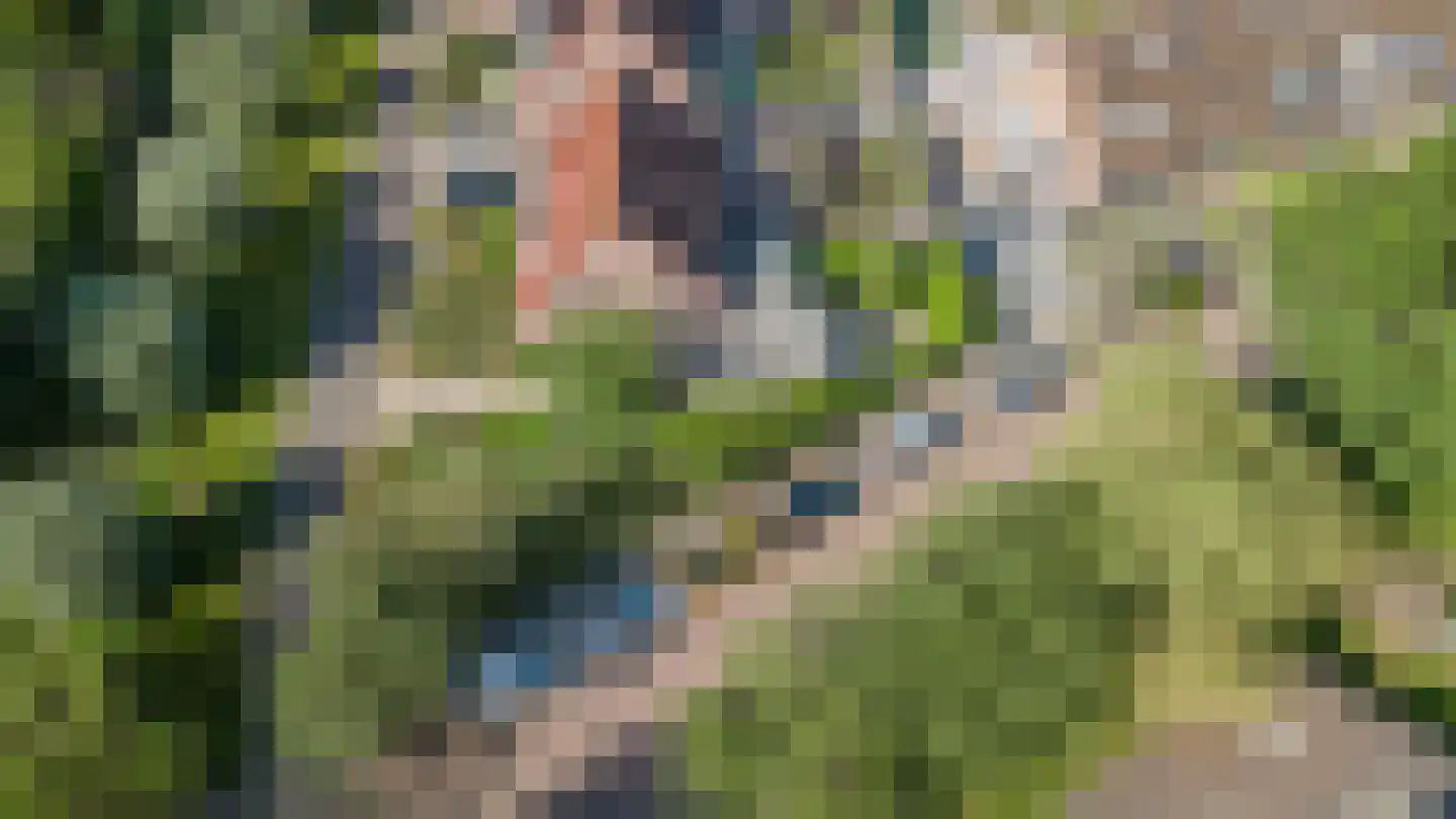 Schout 1 Woudrichem thumbnail 63