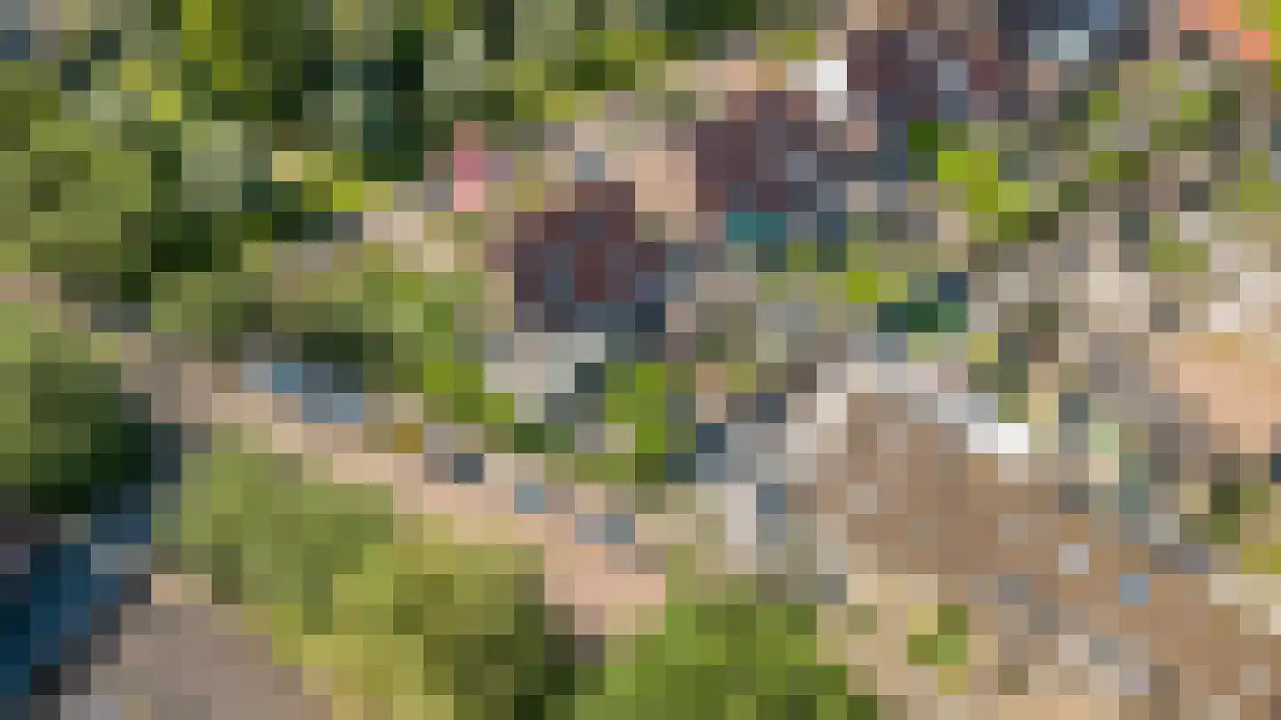 Schout 1 Woudrichem thumbnail 64