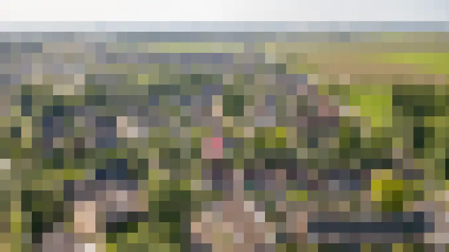 Schout 1 Woudrichem thumbnail 65