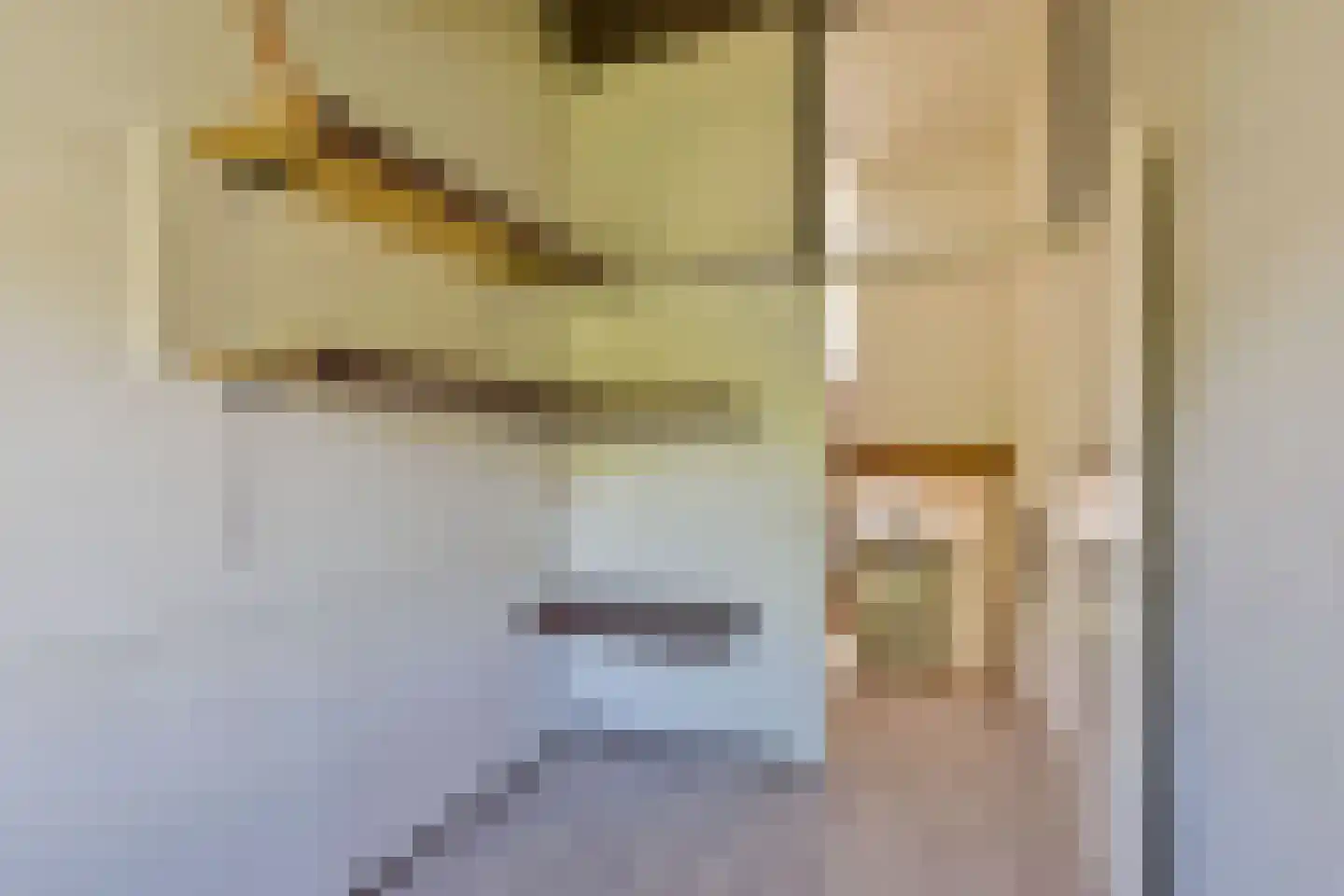 Schout 11 Hoorn thumbnail 22