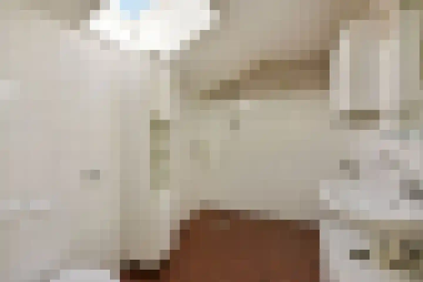 Schout 11 Hoorn thumbnail 23