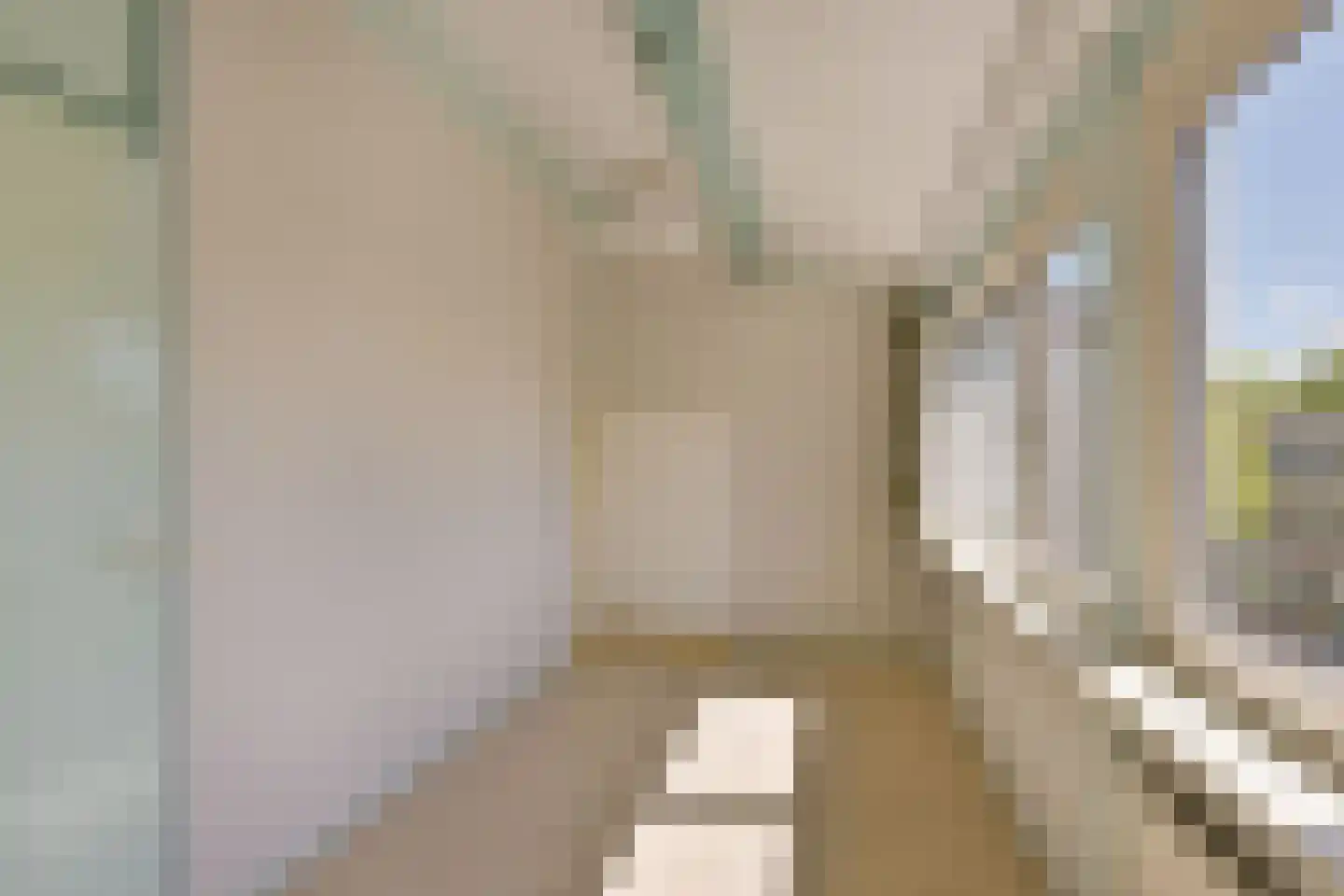 Schout 11 Hoorn thumbnail 26