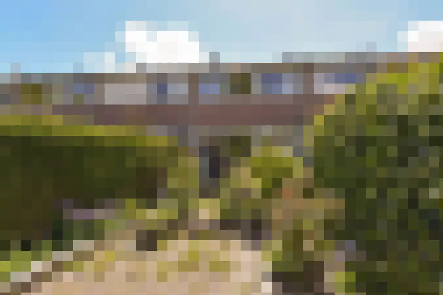 Schout 11 Hoorn thumbnail 27