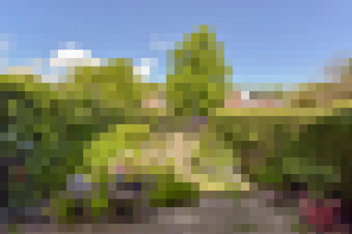 Schout 11 Hoorn thumbnail 28