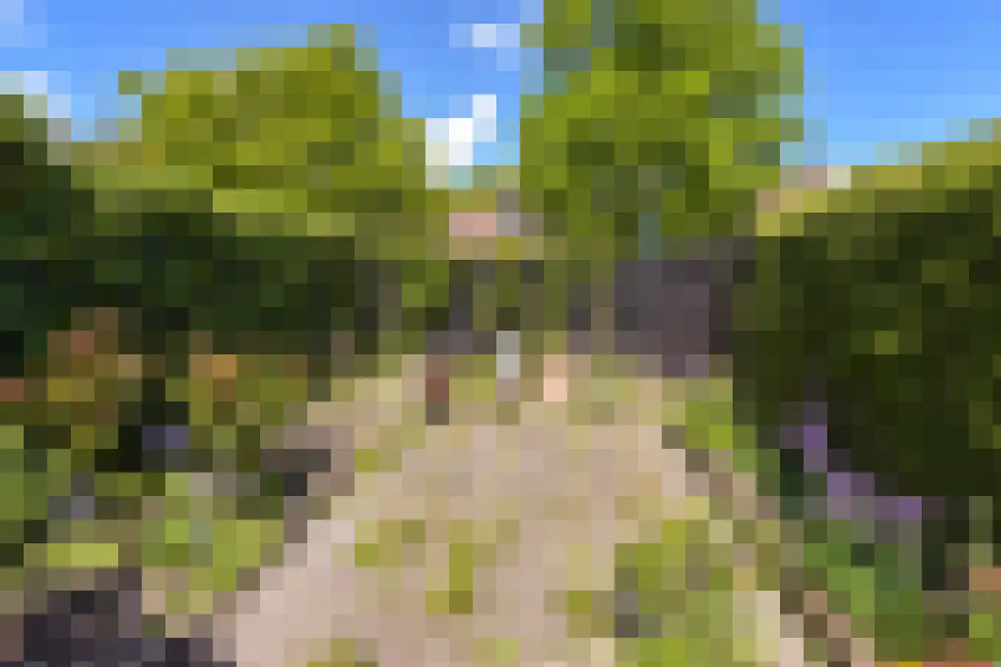 Schout 11 Hoorn thumbnail 29