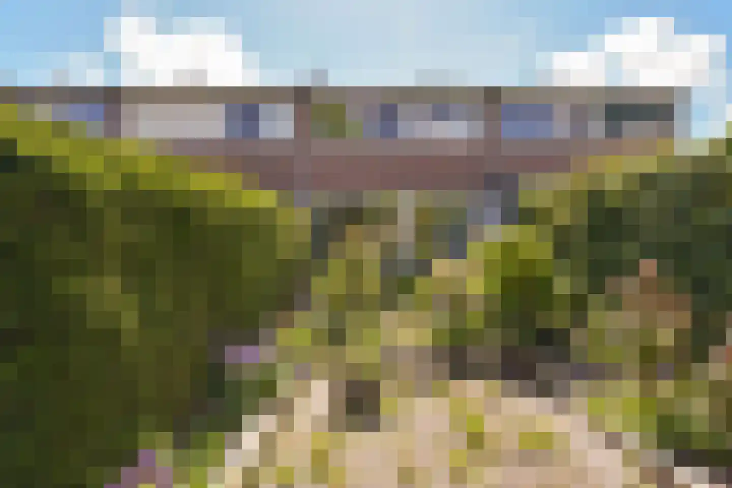 Schout 11 Hoorn thumbnail 30