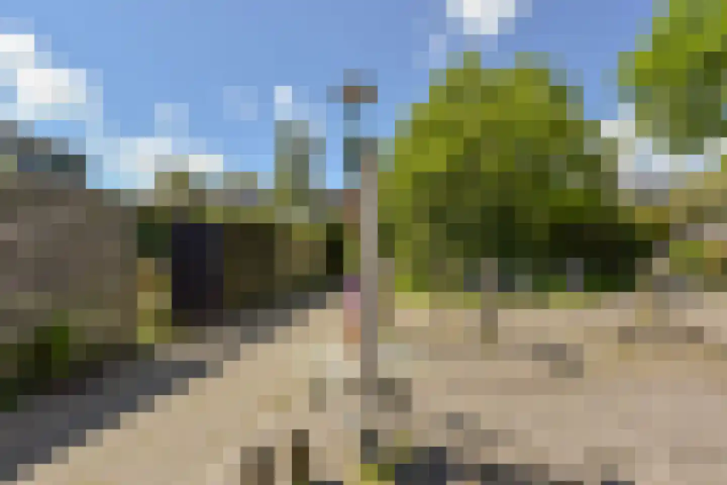 Schout 11 Hoorn thumbnail 36