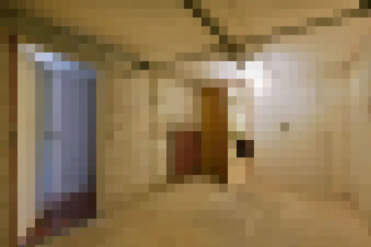 Schout 11 Hoorn thumbnail 4
