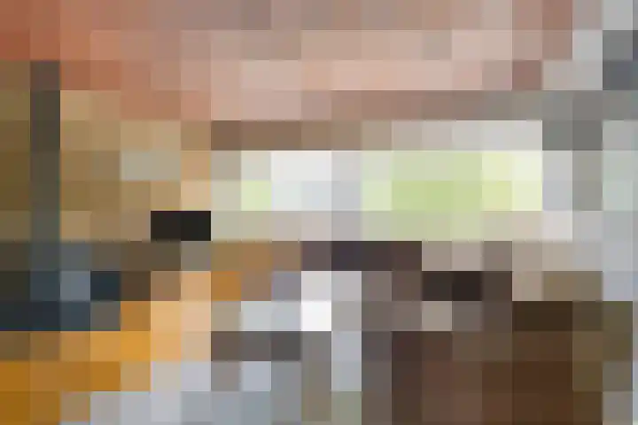 Schout 14 Hoorn thumbnail 16