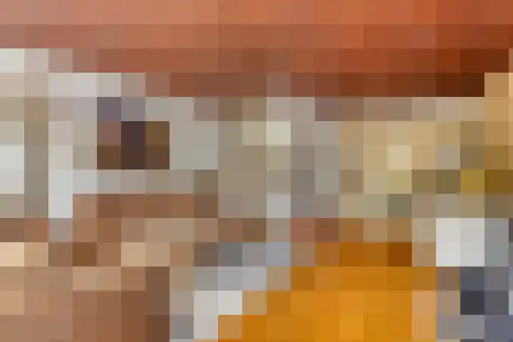 Schout 14 Hoorn thumbnail 17