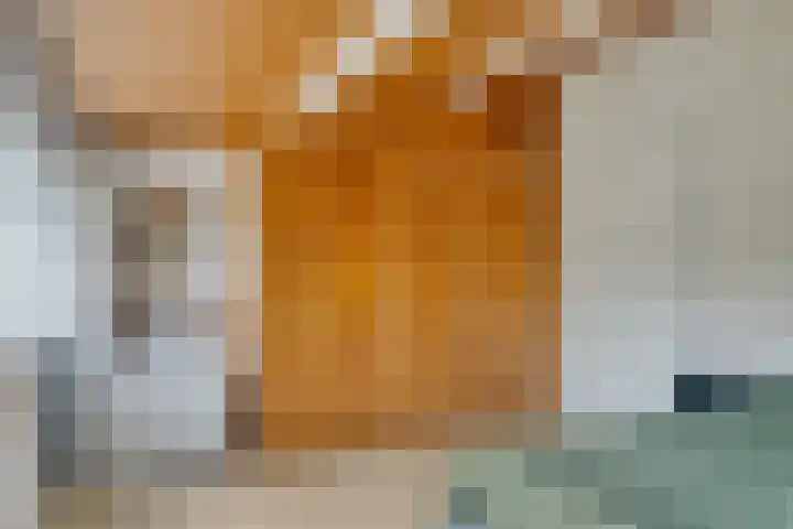 Schout 14 Hoorn thumbnail 23