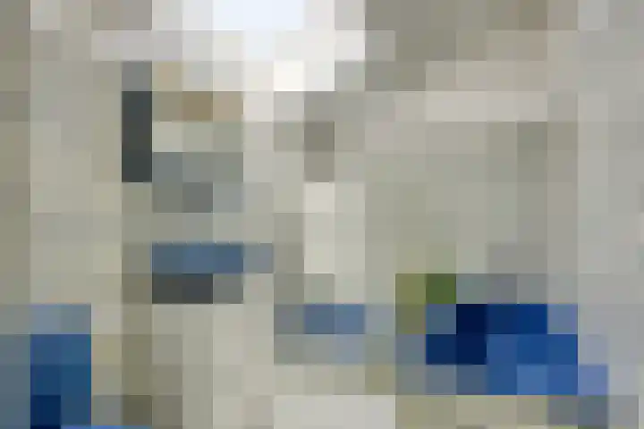 Schout 14 Hoorn thumbnail 24