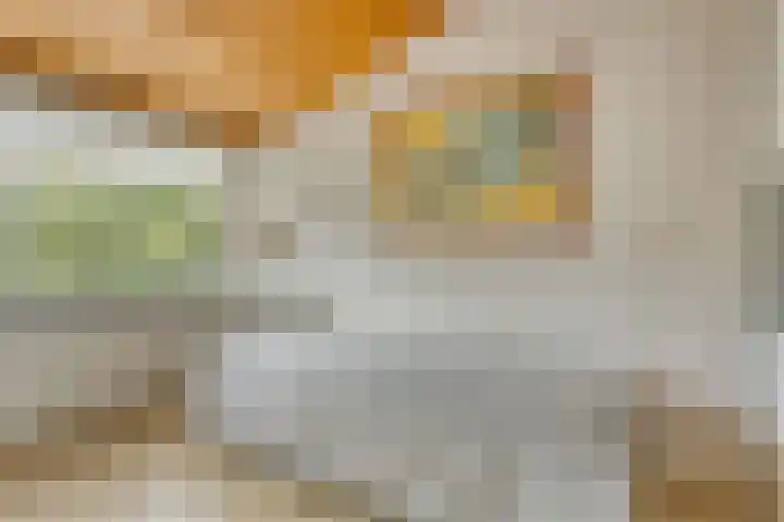 Schout 14 Hoorn thumbnail 26