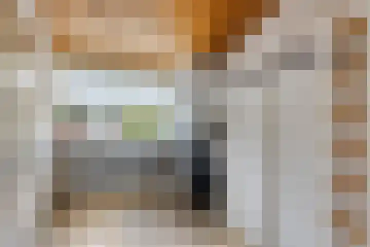 Schout 14 Hoorn thumbnail 28