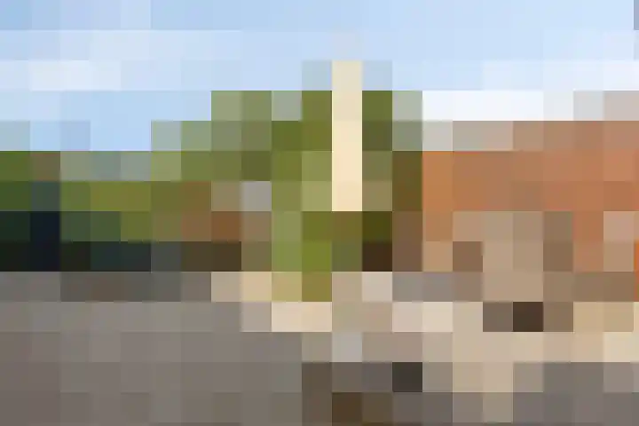 Schout 14 Hoorn thumbnail 31