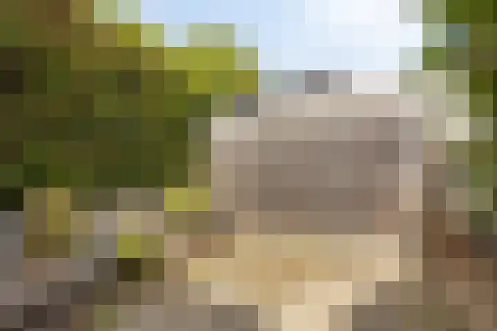 Schout 14 Hoorn thumbnail 32