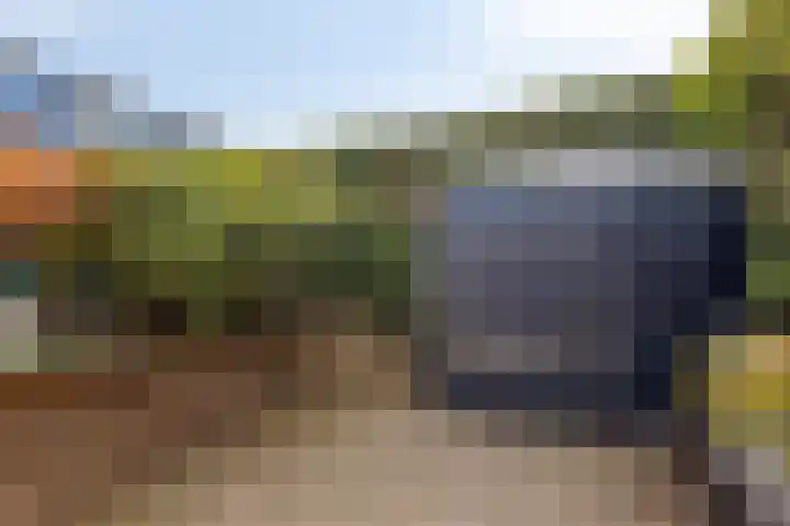 Schout 14 Hoorn thumbnail 33